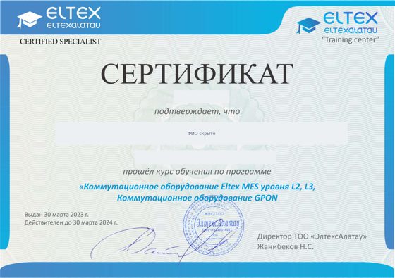 Eltex MES L2/L3 и GPON
